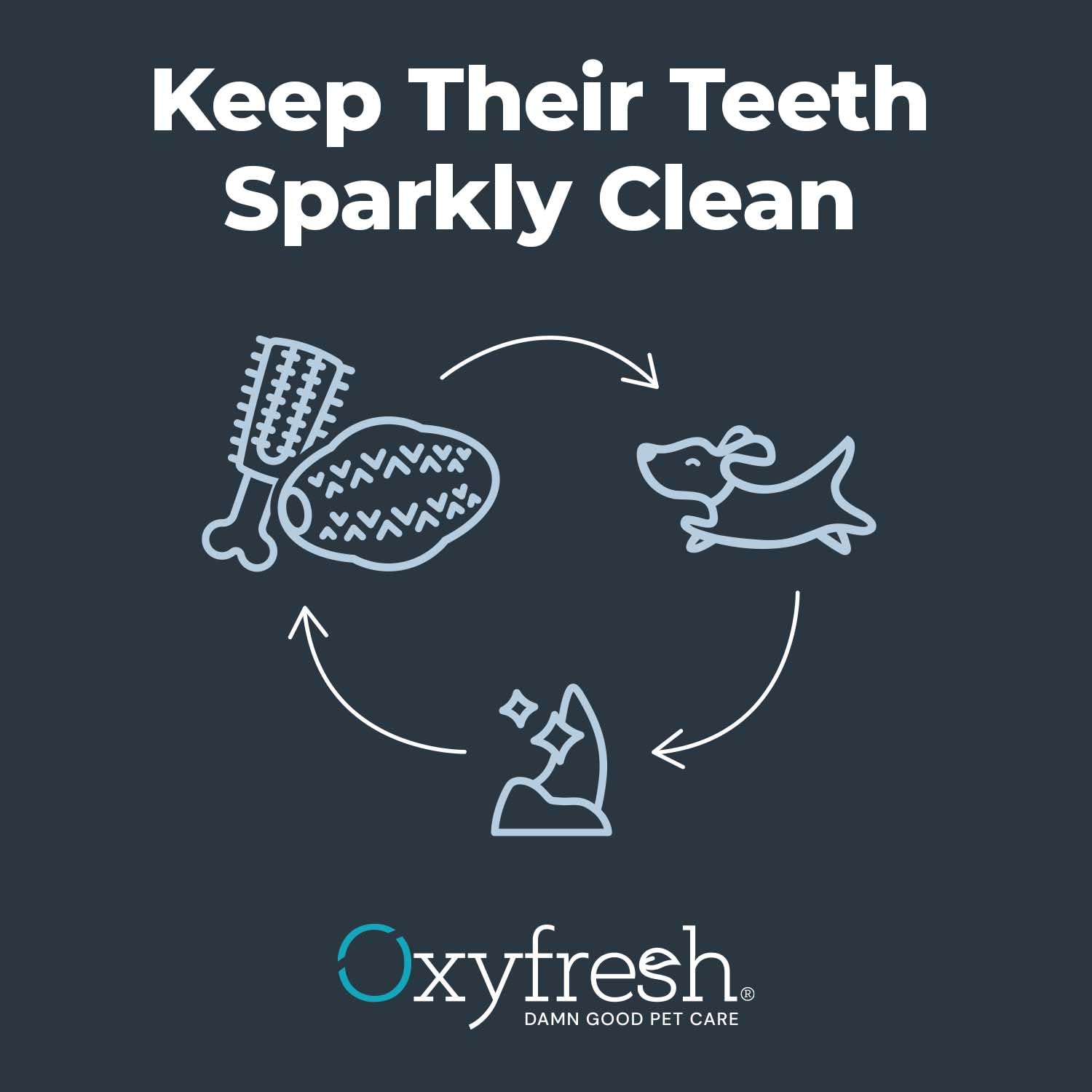 Oxyfresh dog dental chew toy natural rubber flavor-free