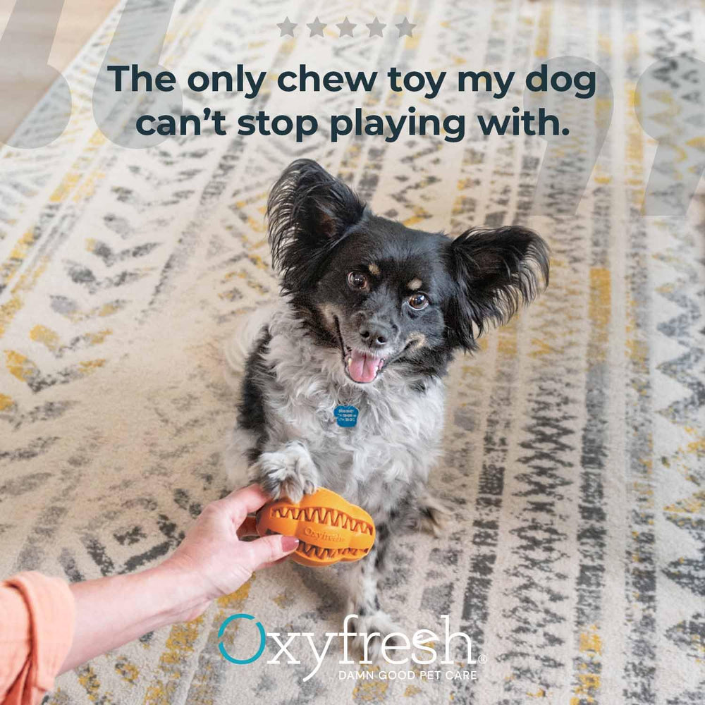 Oxyfresh dog dental chew toy treat-time play visual