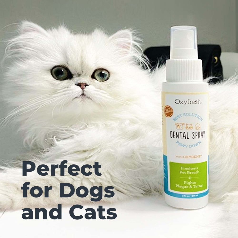 Oxyfresh pet dental spray shown as trusted by veterinarians.