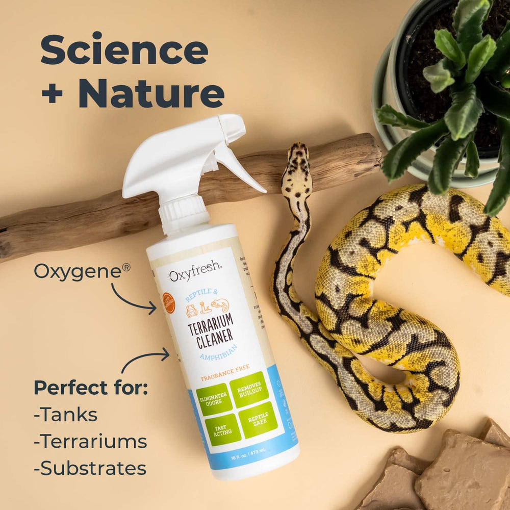 Oxyfresh fragrance-free and dye-free formula cleans without added scents.