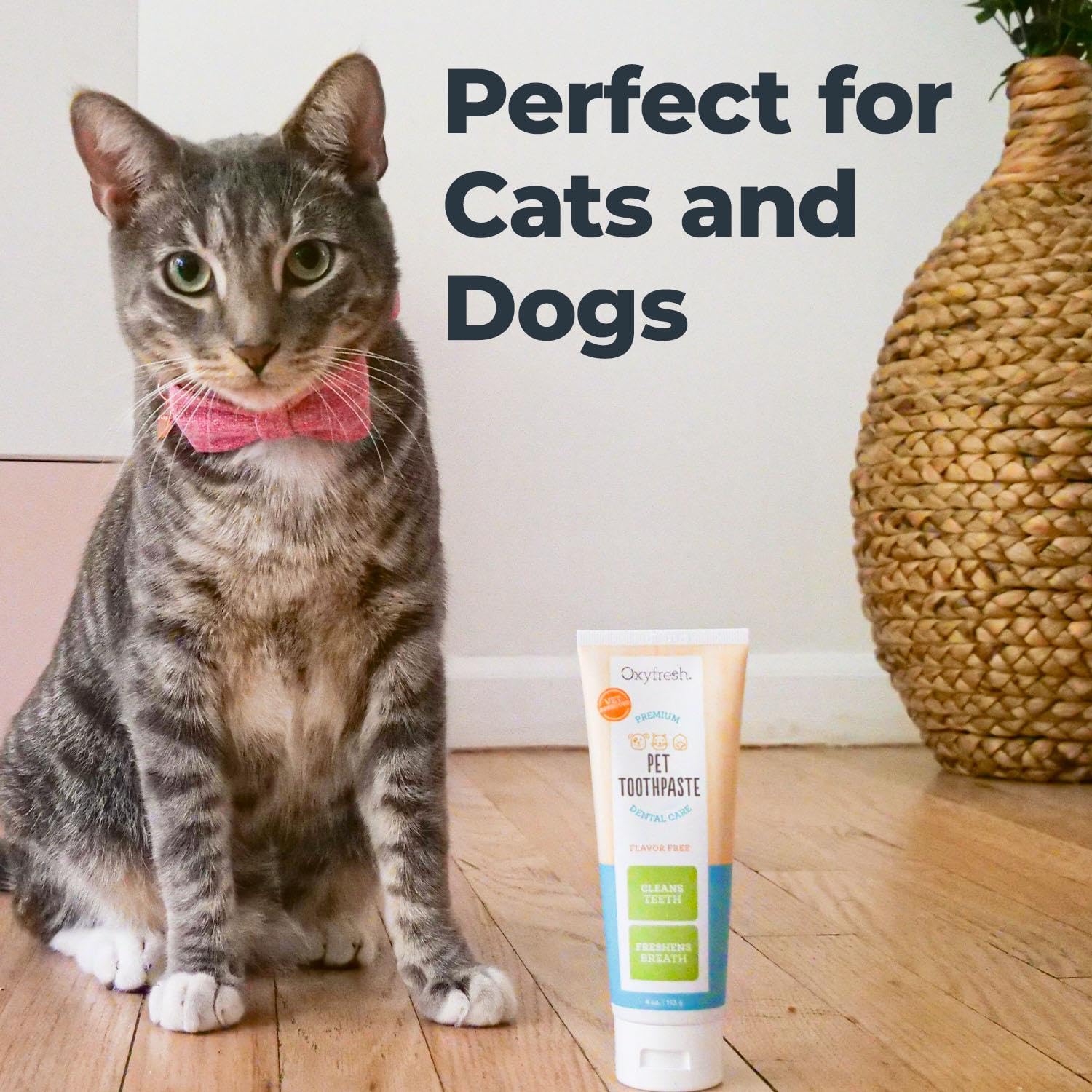 Oxyfresh Premium Cat & Dog Toothpaste used on a dog and a cat, versatile brushing options.