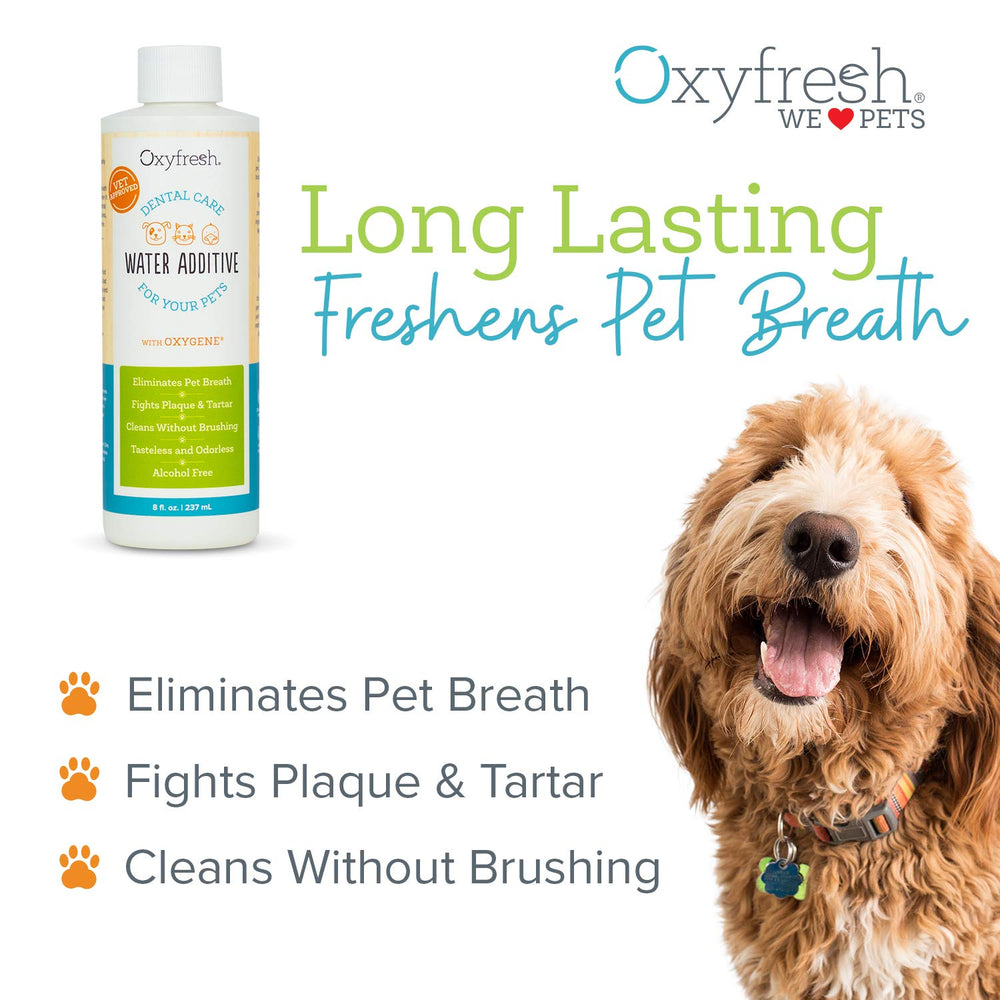 Oxyfresh Premium Pet Dental Water Additive cap open shows effortless daily dosing.