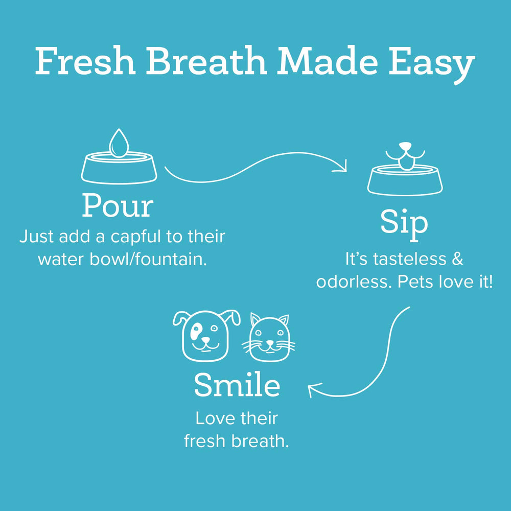 Oxyfresh Premium Pet Dental Water Additive in cat bowl supports simple oral care.
