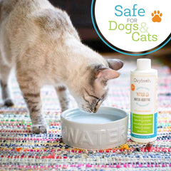 Oxyfresh Premium Pet Dental Water Additive in dog bowl for fresher breath.