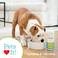 Oxyfresh in water bowl demonstrates daily use without brushing and improved oral care