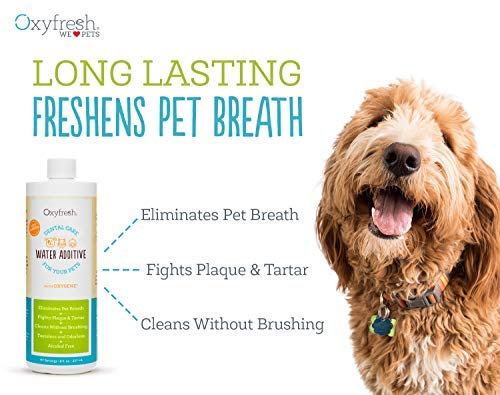 Oxyfresh bottle being poured into a pet water bowl for easy dosing