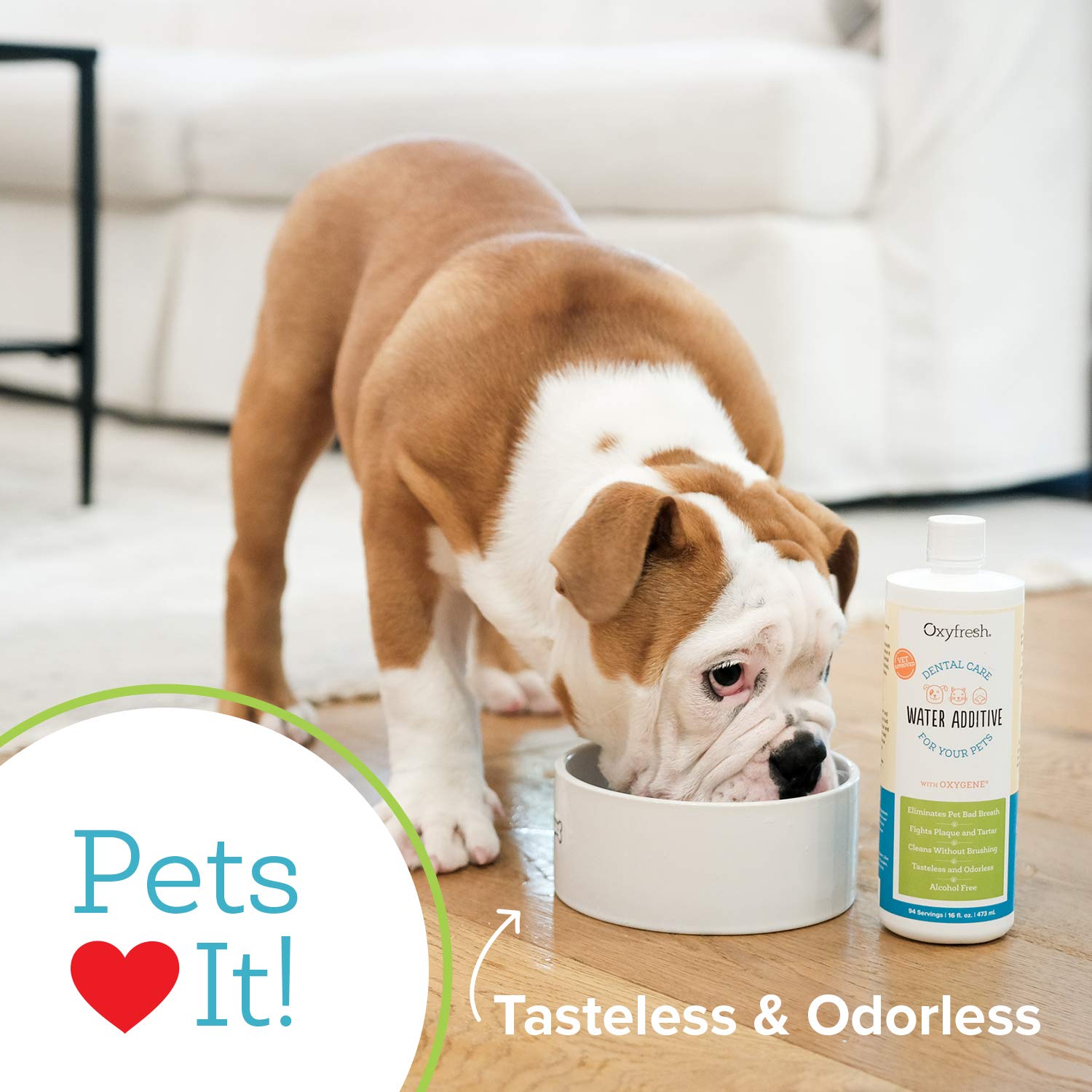 Oxyfresh Premium Pet Dental Water Additive USA-made label signals vet-trusted formula.
