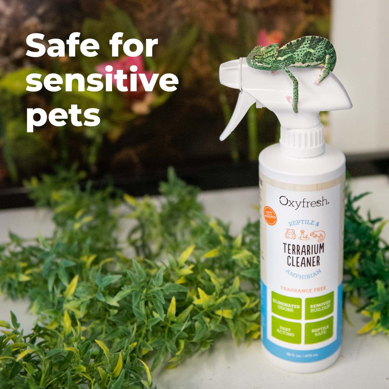 Oxyfresh terrarium-substrate cleaner lifts grime from substrate surfaces.