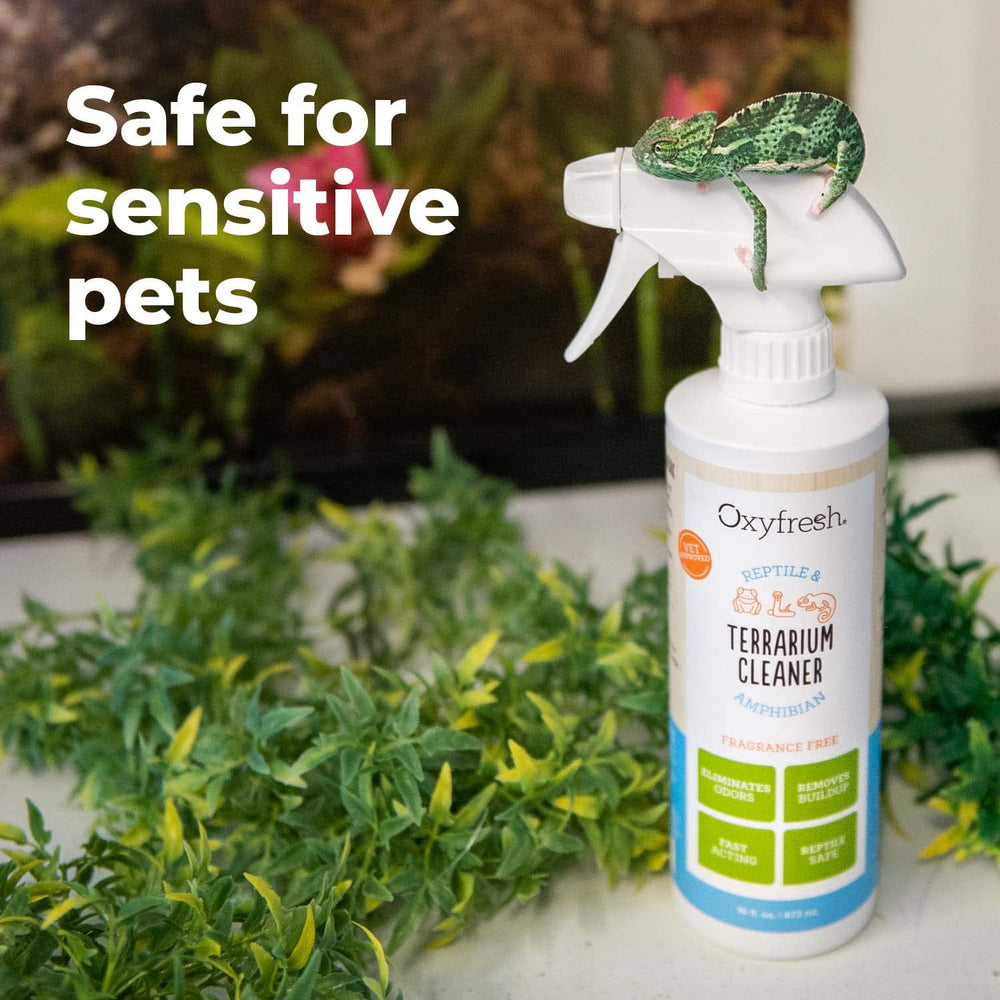 Oxyfresh terrarium-substrate cleaner lifts grime from substrate surfaces.