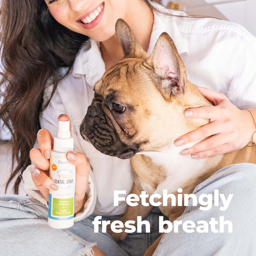 Oxyfresh water additive dissolving into pet water bowl for dental care.