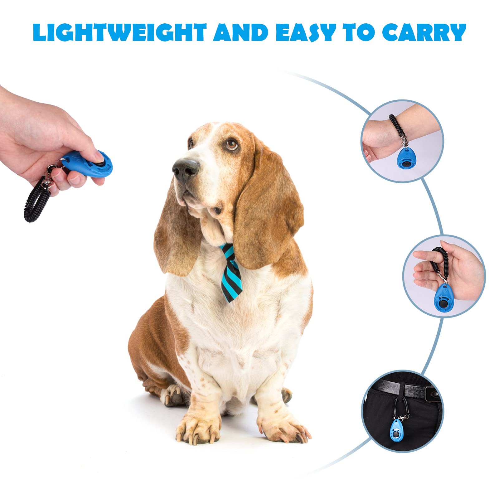 OYEFLY clicker-training-session captures quick cue-to-treat flow for positive reinforcement.