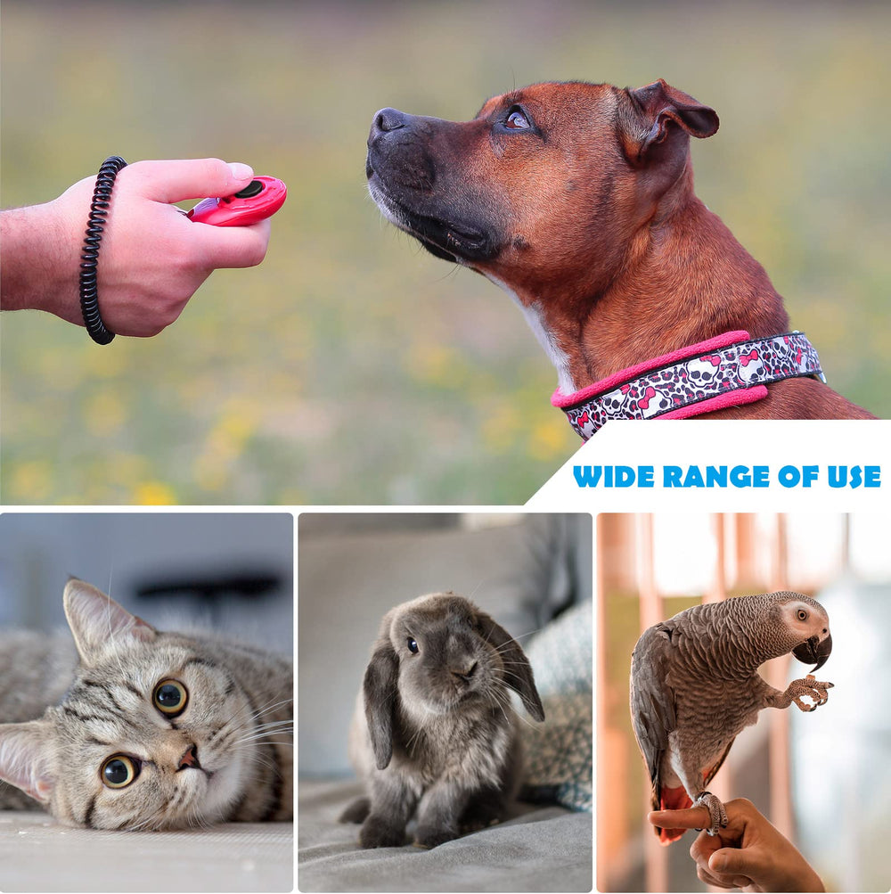 OYEFLY pet training multi-species demonstrates versatility across dog, cat, and bird sessions.