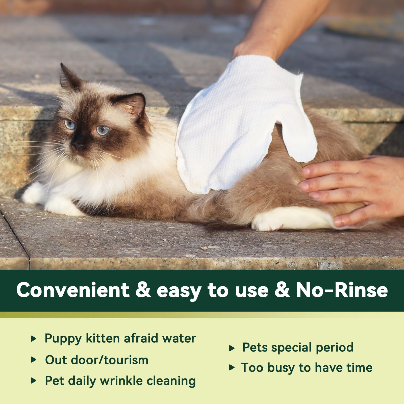 20 non-abrasive wipes in a travel-friendly package.