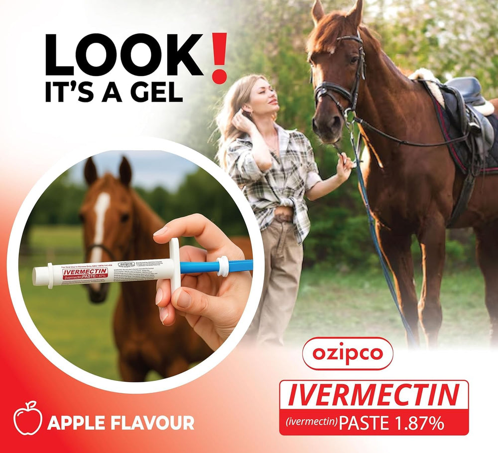 OZIPCO syringe assembly illustrating pre-measured paste for horses