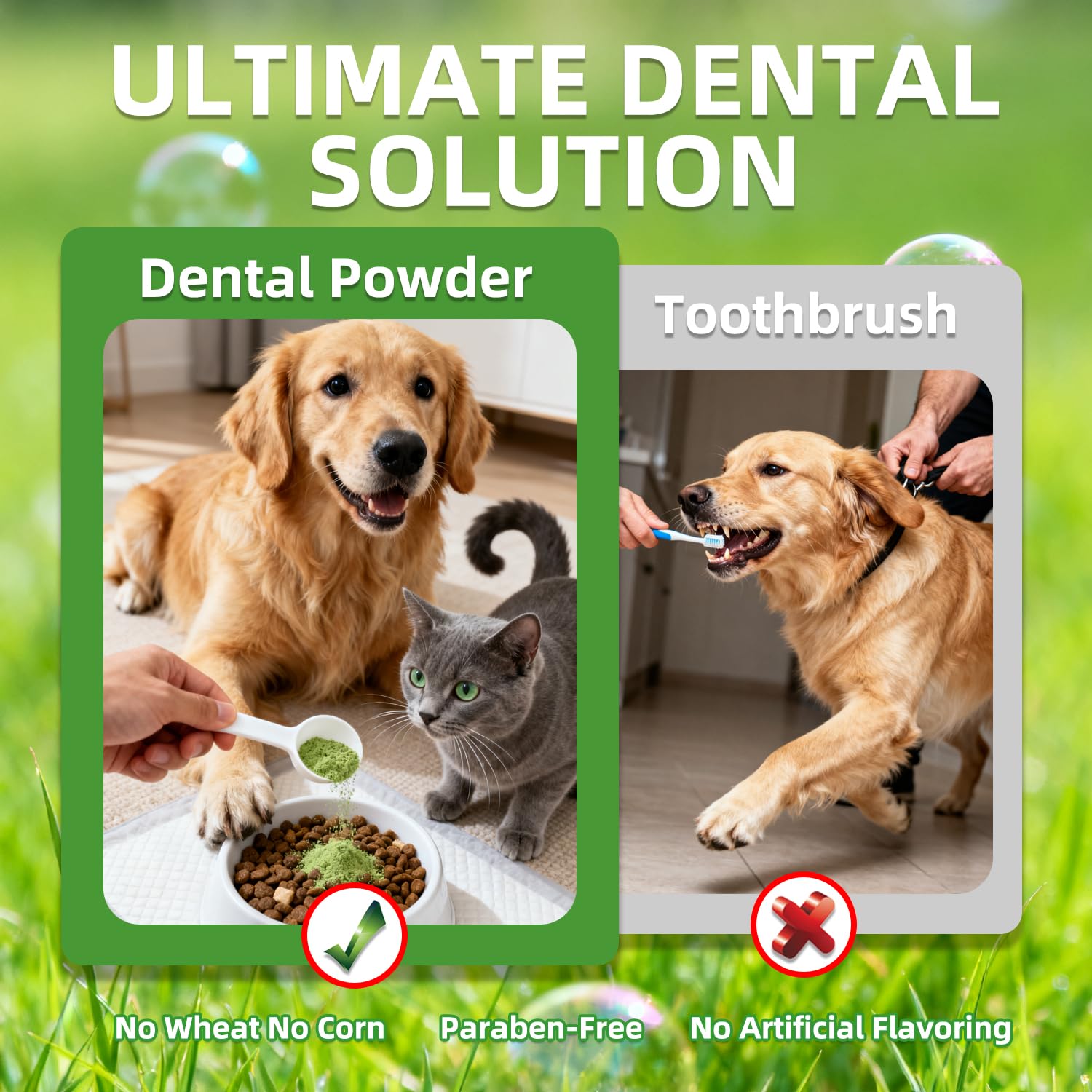 OZOXOO natural ingredients include enzymes, probiotics, and sea minerals for gentle cleaning.