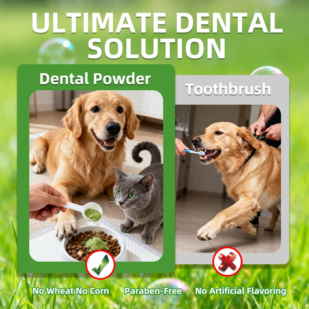 OZOXOO natural ingredients include enzymes, probiotics, and sea minerals for gentle cleaning.