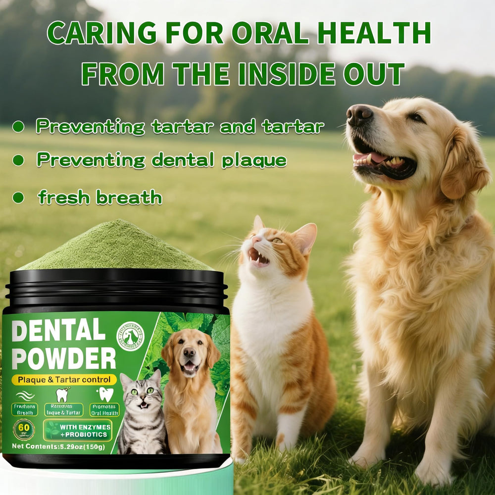 OZOXOO dental powder acts as tartar remover for teeth without harsh additives.