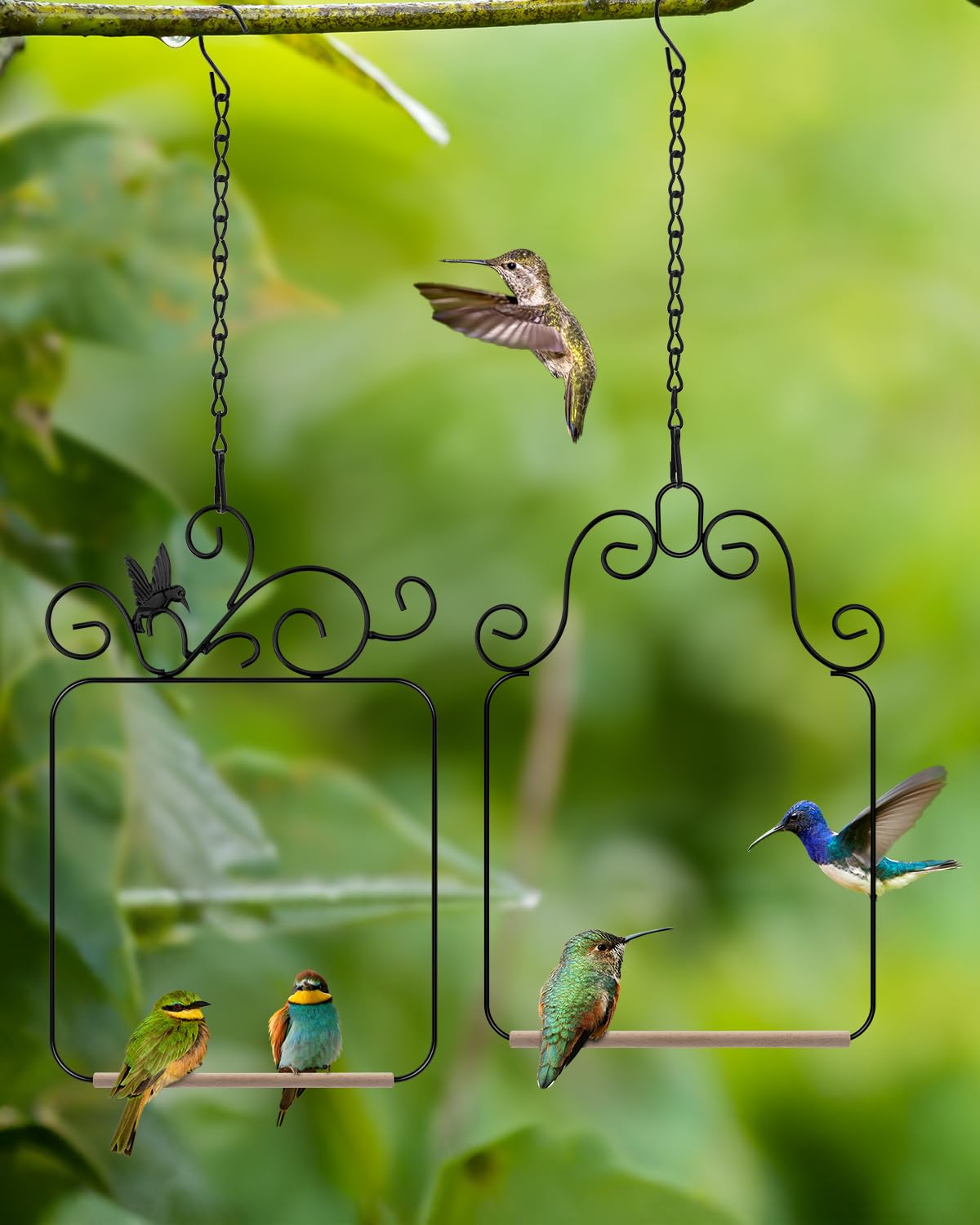 PACETAP hummingbird swings package includes two styles for versatile setup.