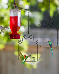 PACETAP hummingbird swing featuring wooden dowel perch for birds.