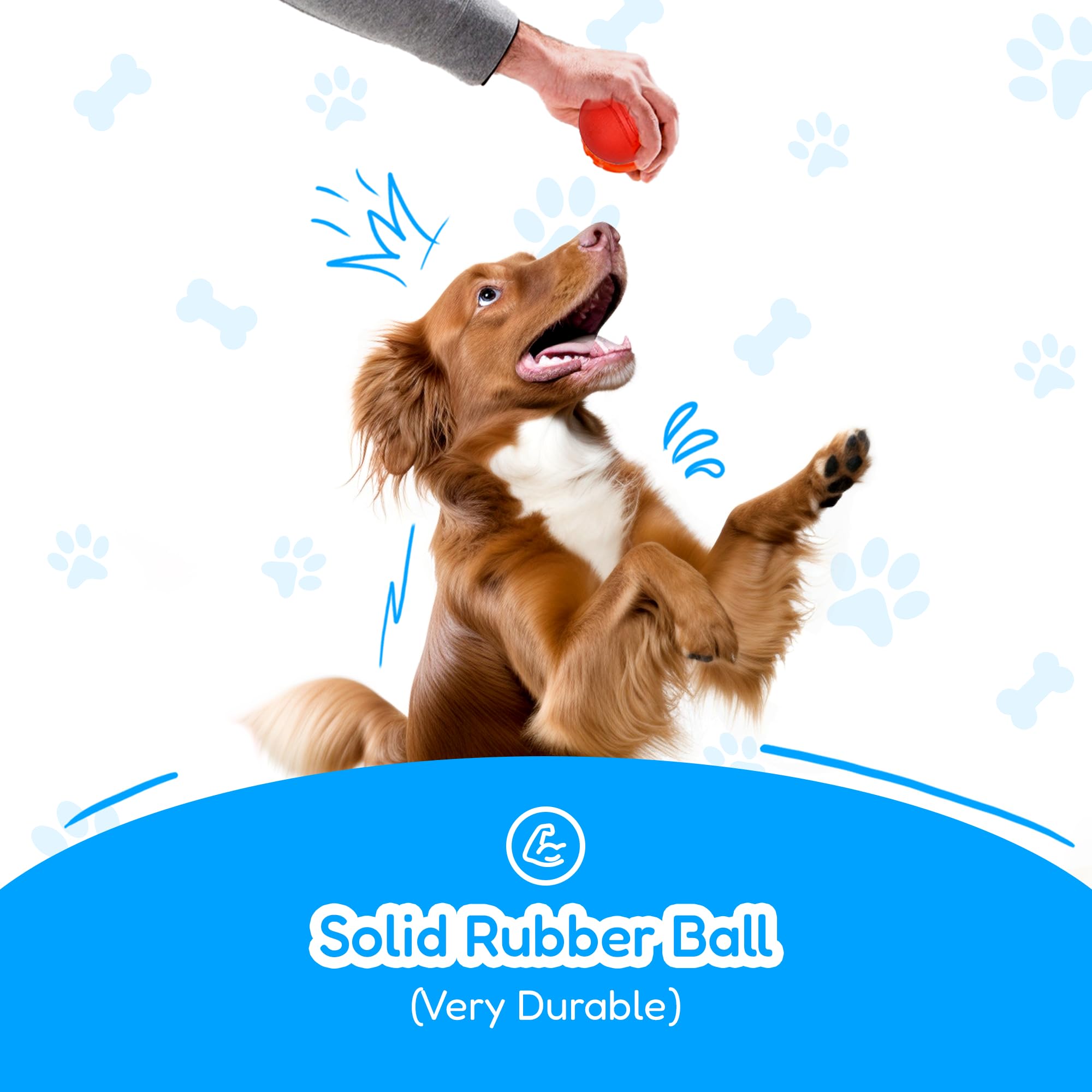 Pacific Pups cotton rope material detail for safe dog play.