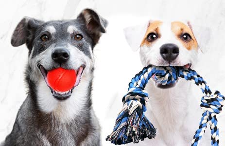 Pacific Pups detailed stitching close-up showing durable construction.