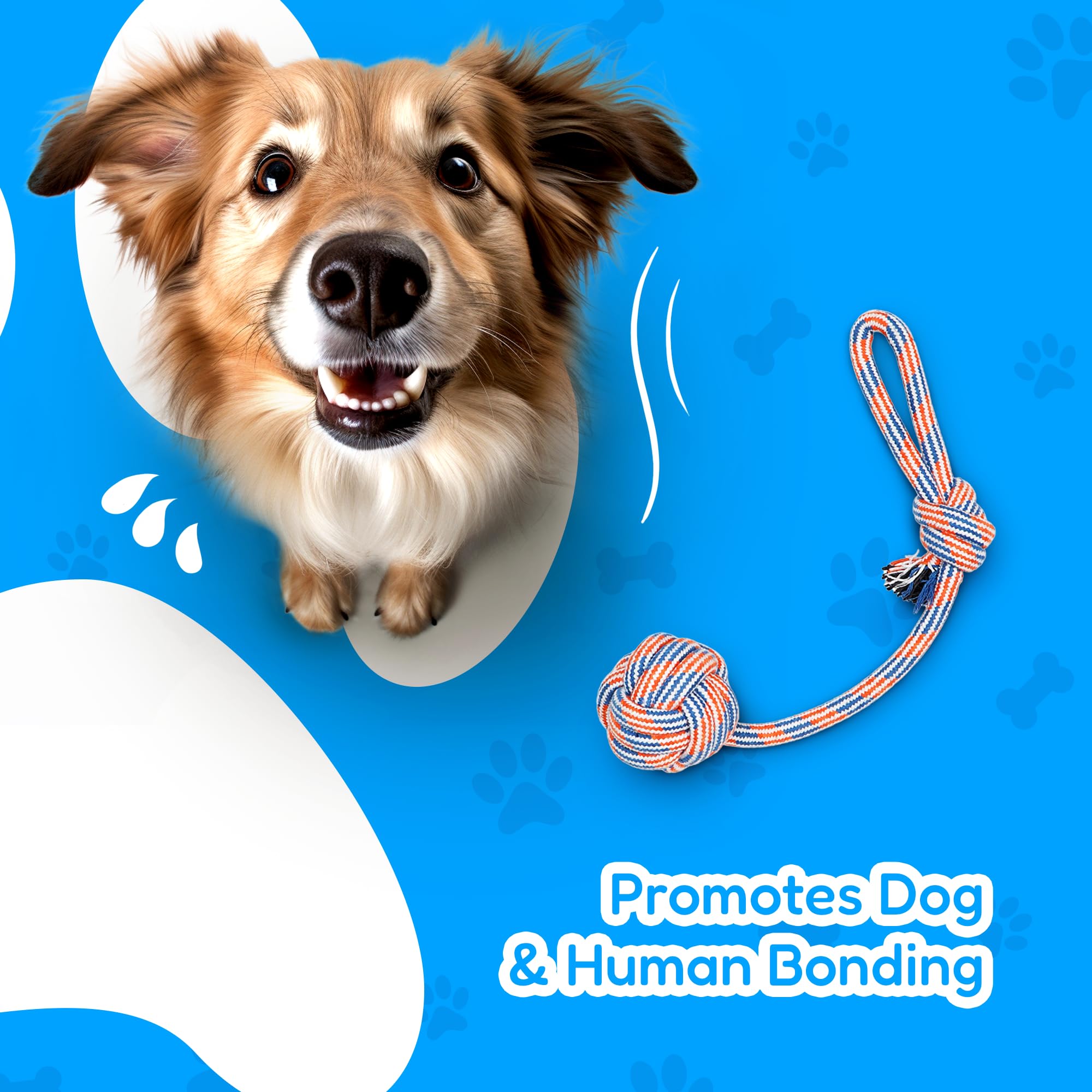 Pacific Pups dog playtime shot emphasizing bonding during interactive games.