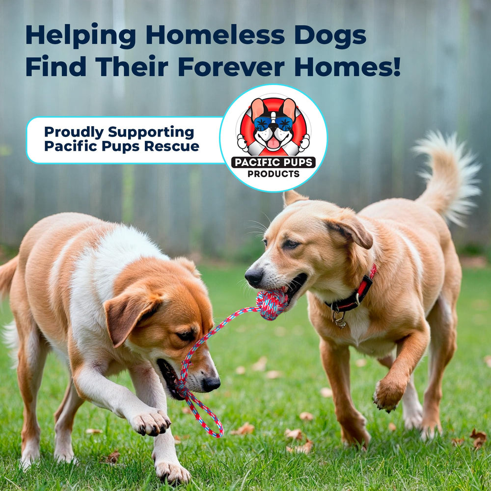 Pacific Pups dog poop bags holder for quick outdoor cleanup.