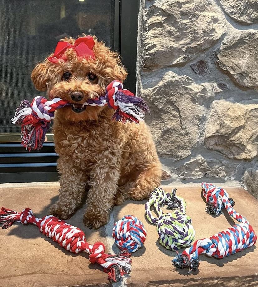 Pacific Pups Products aggressive-chewer-rope stands up to tough chewing.