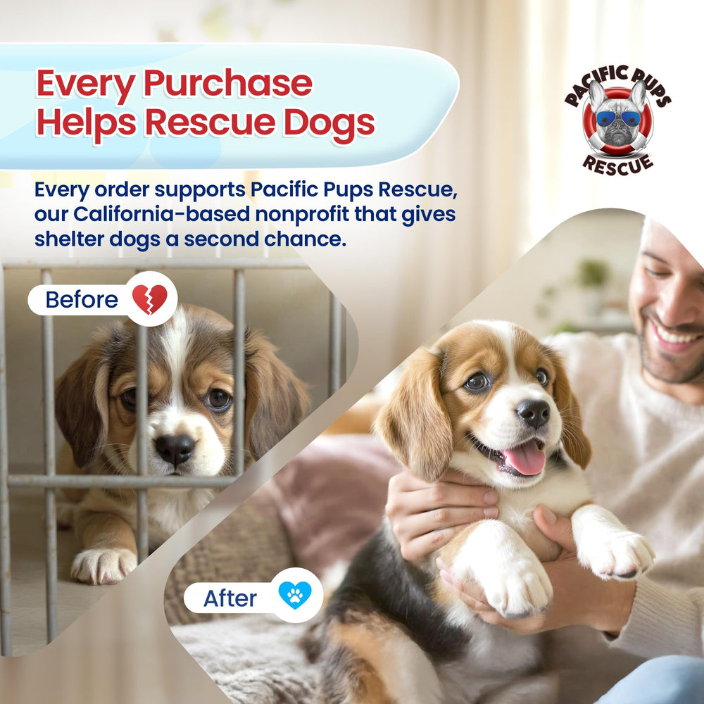 Pacific Pups Products five-pack dog toys offers versatile daily play options.