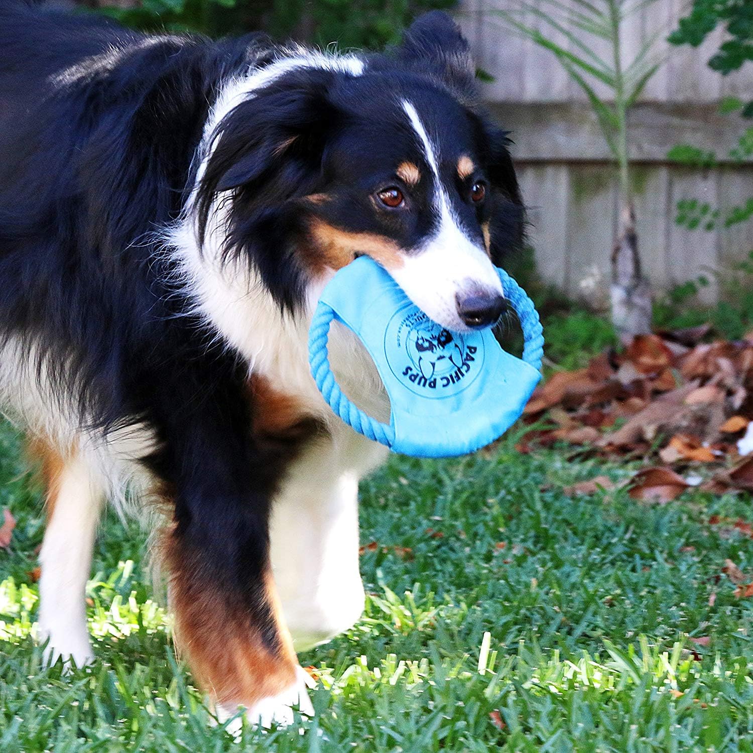 Pacific Pups Products supports Pacific Pups Rescue with every toy purchase
