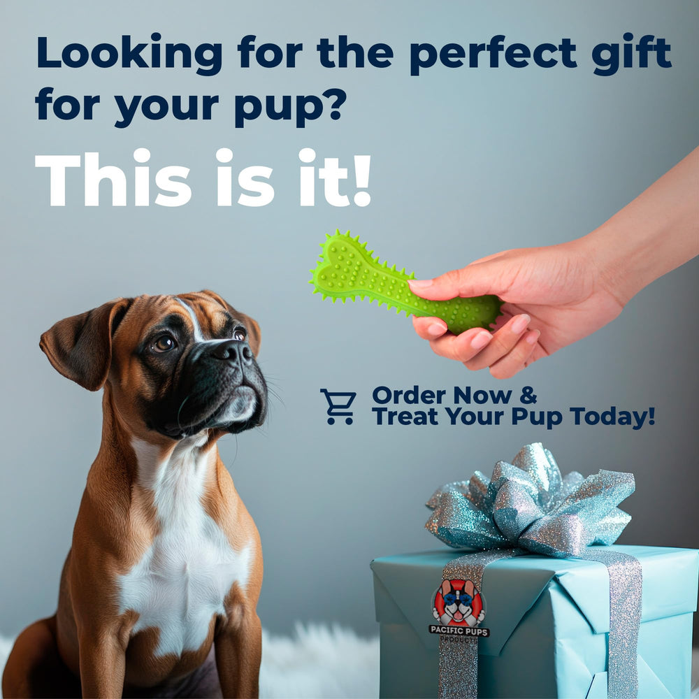 Pacific Pups rescue support image highlighting the non-profit mission.