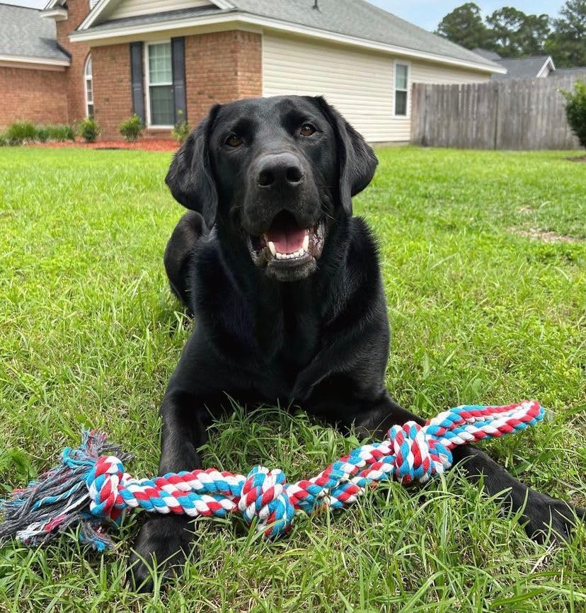 Pacific Pups rope toy makes on-the-go adventures more fun.