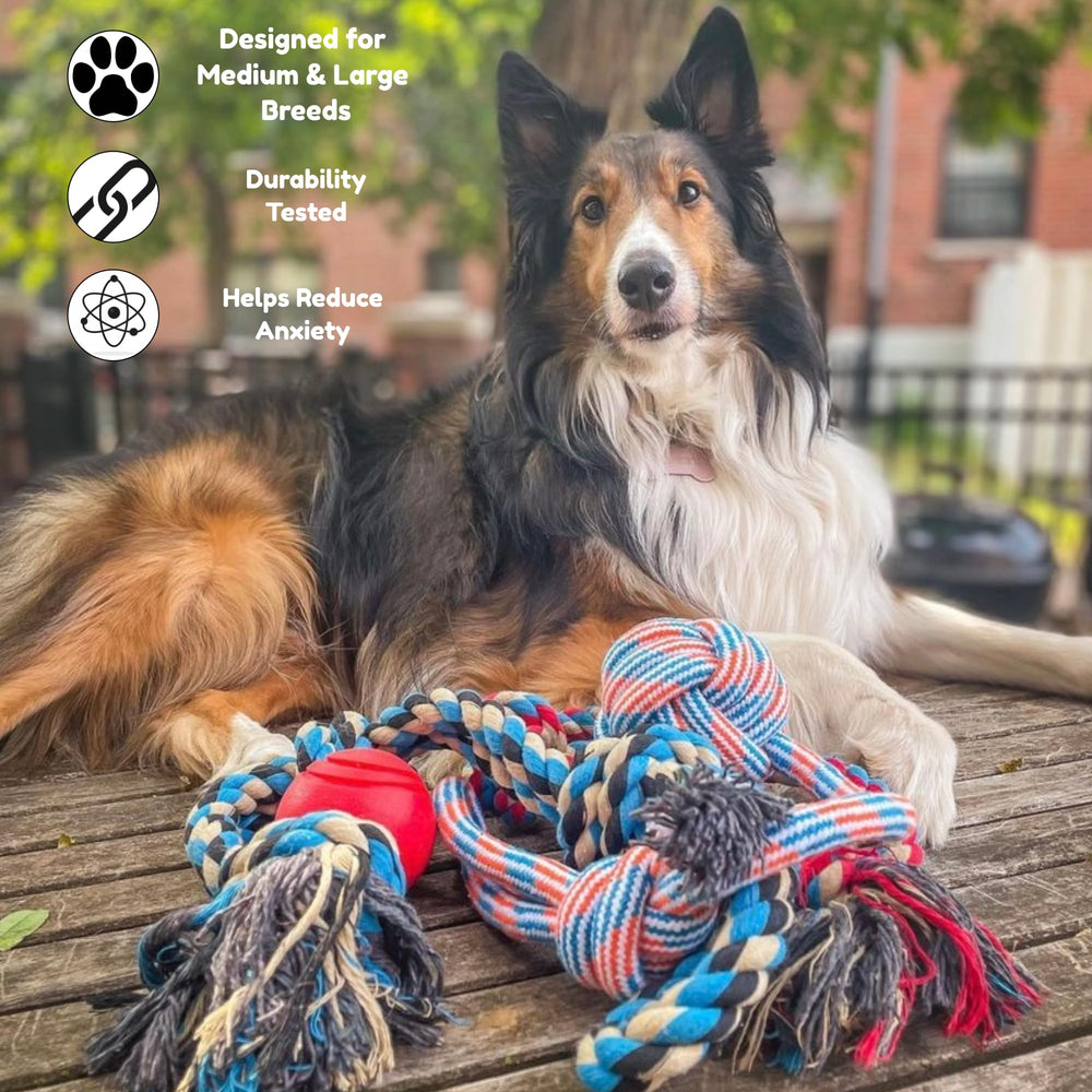 Pacific Pups solid rubber ball image for varied fetch play.