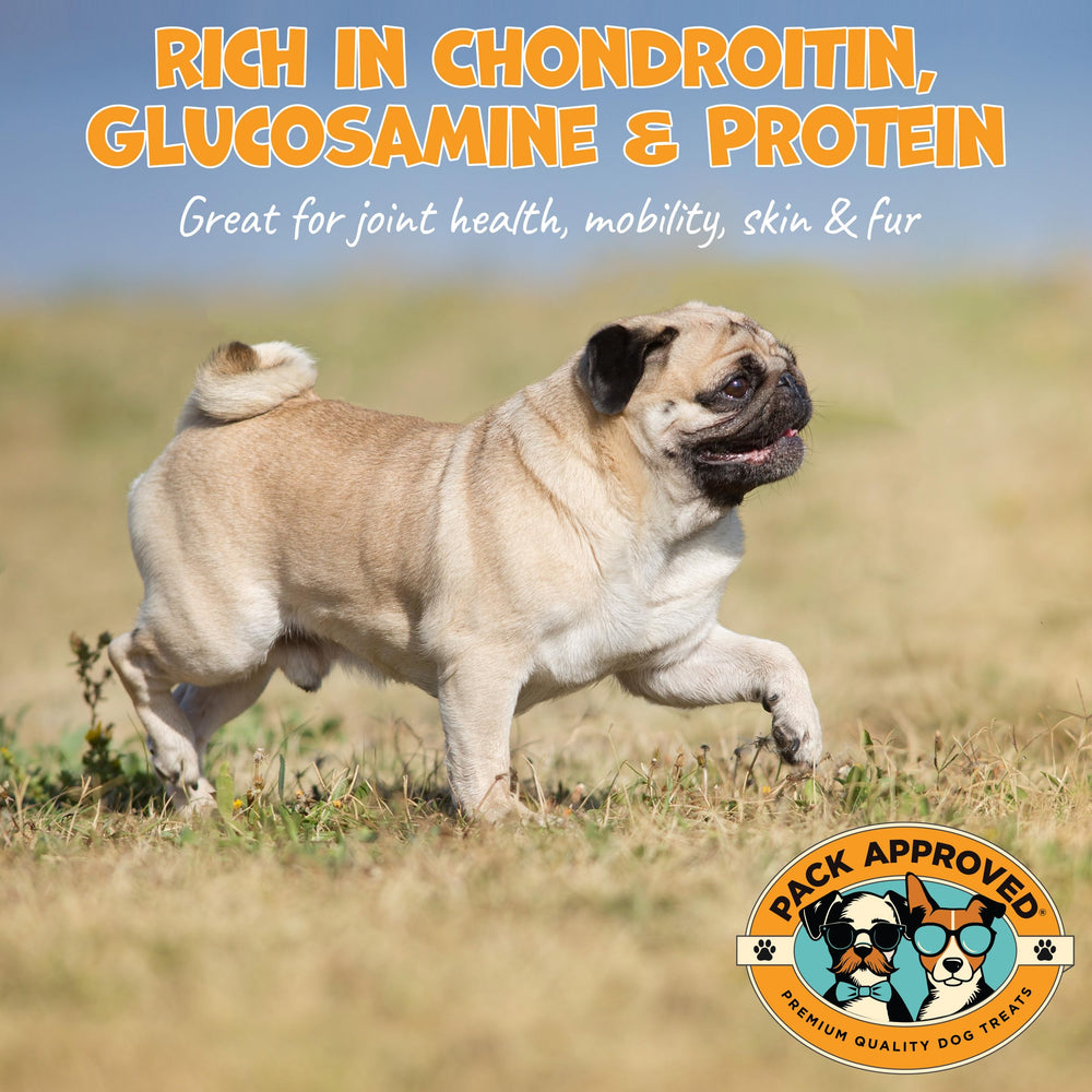 Pack Approved 3.5-inch beef collagen chew rings ideal for teething puppies.