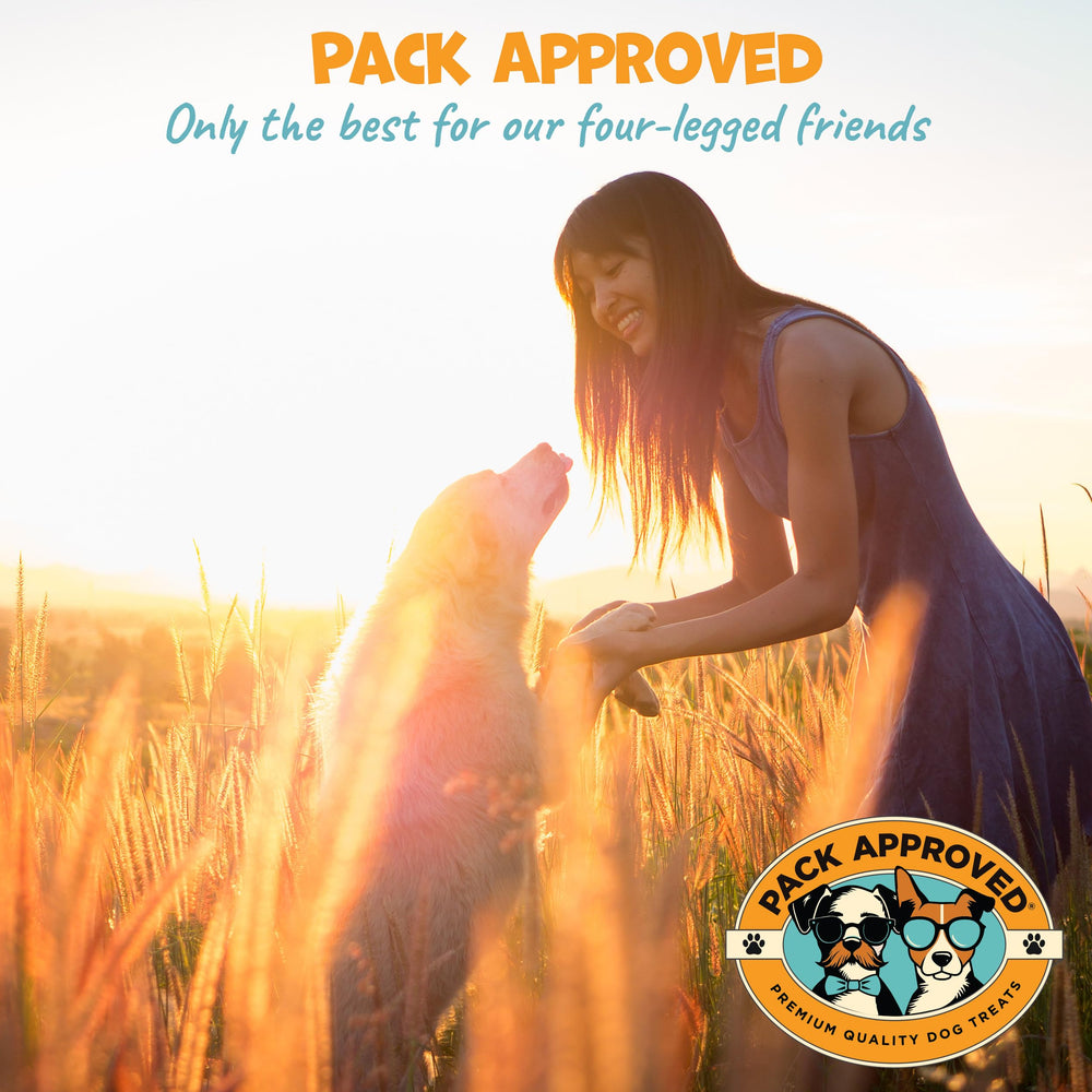 Pack Approved Beef Cheek Rolls four-pack display emphasizes value and ongoing treats
