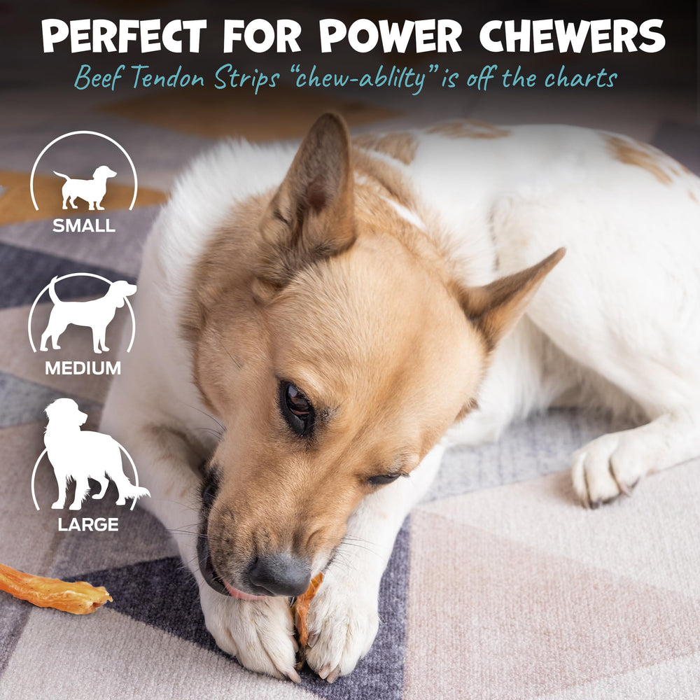 Pack Approved beef tendon 7-10 inch sticks suitable for large dogs.