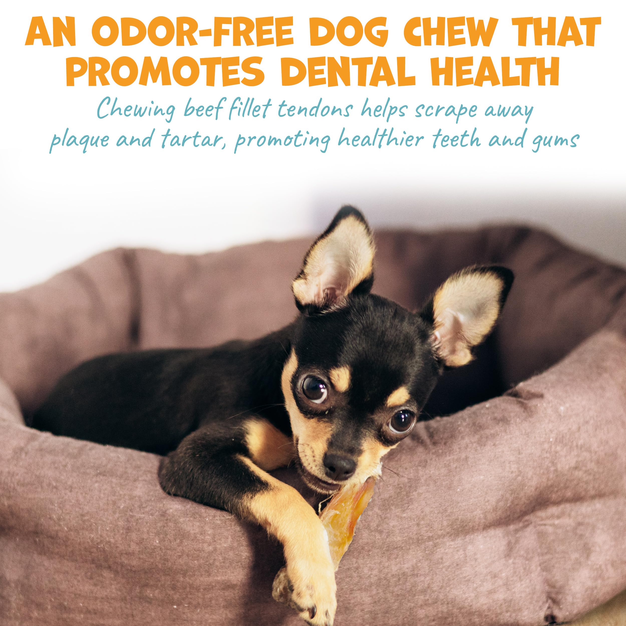 Pack Approved beef tendons dog chews are easily digestible, ideal for dogs with sensitivities.