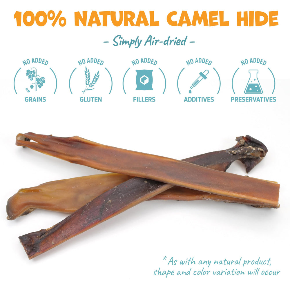 Pack Approved camel skin sticks close-up reveals tough texture for aggressive chewers.
