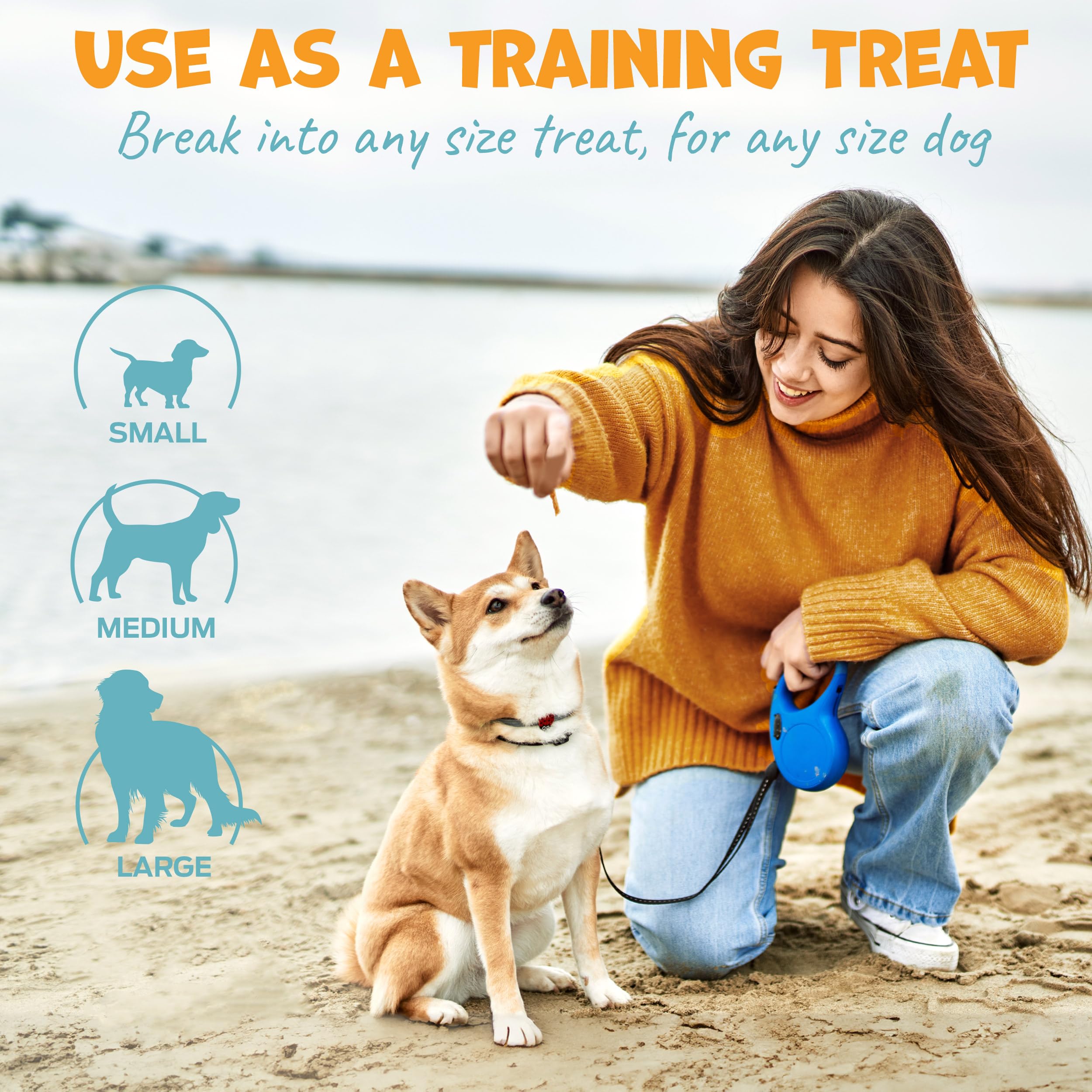 Pack Approved Chicken Sticks dog sniff image emphasizes grain-free, gluten-free, and digestible crunch.