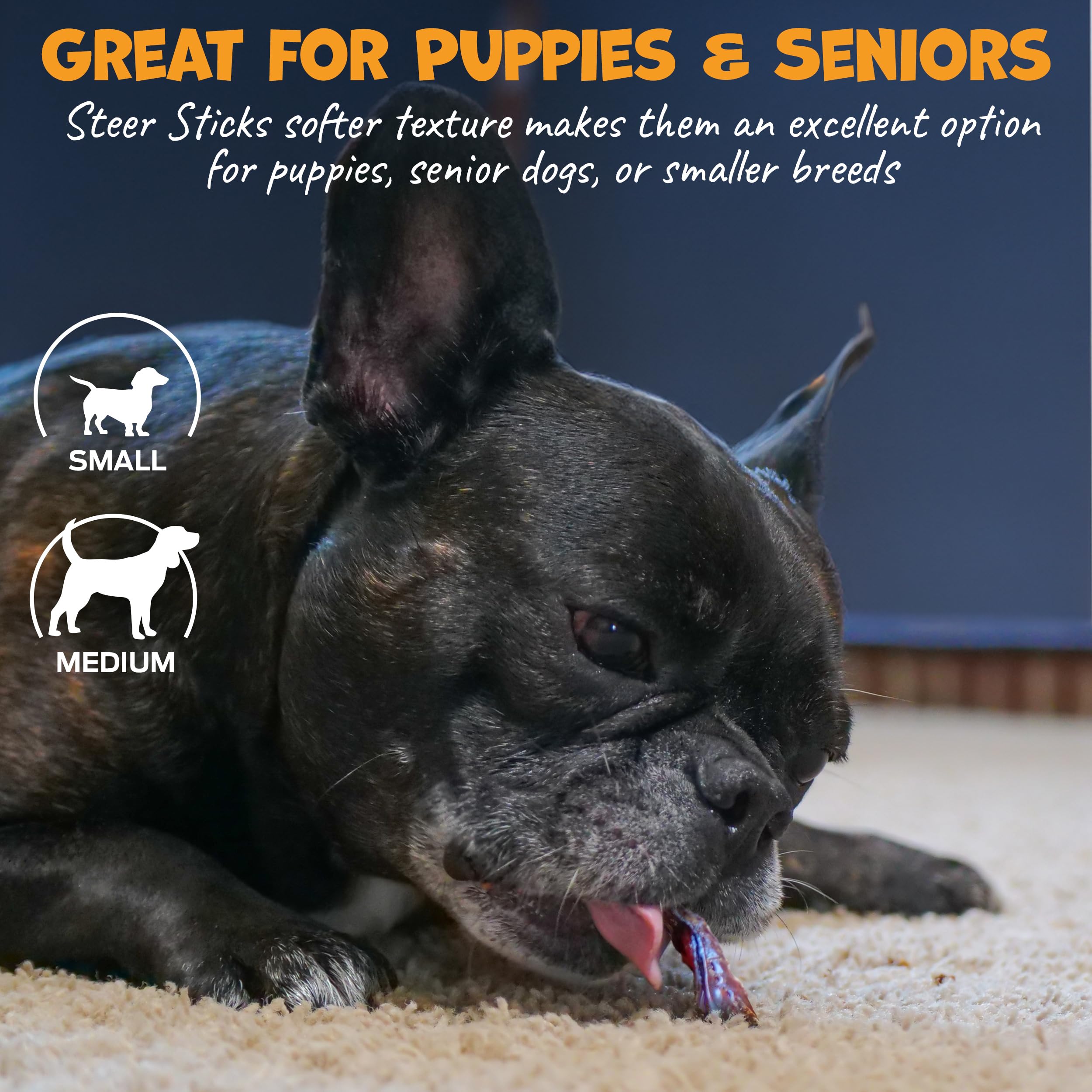 Pack Approved digestible chew texture showcases long-lasting entertainment for active dogs.
