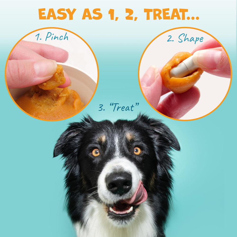 Pack Approved Flavor-Doh bacon-cheese-flavor highlights tasty option to hide pills in dog treats.