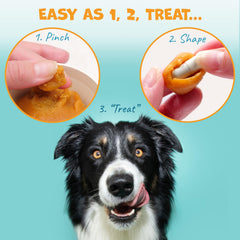 Pack Approved Flavor-Doh bacon-cheese-flavor highlights tasty option to hide pills in dog treats.