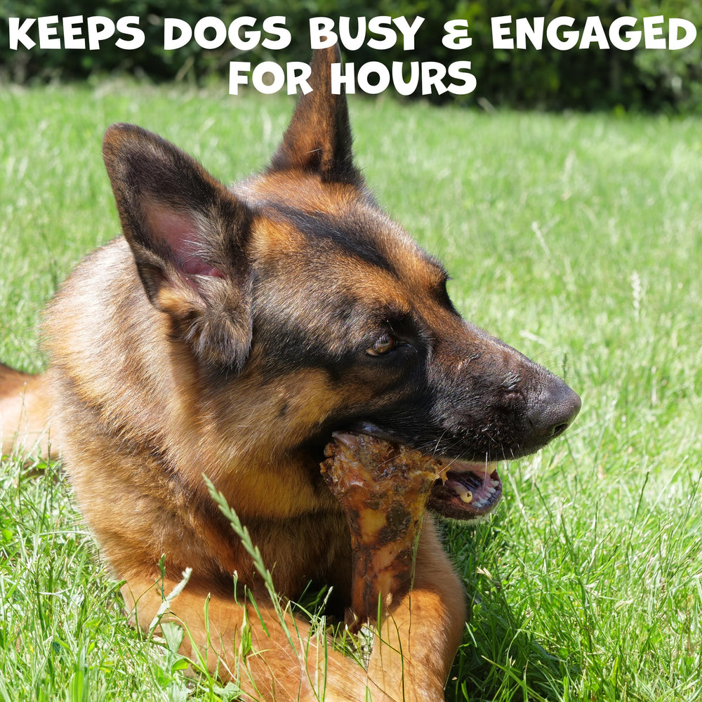 Pack Approved long-lasting chew for large breeds—offers hours of chewing.