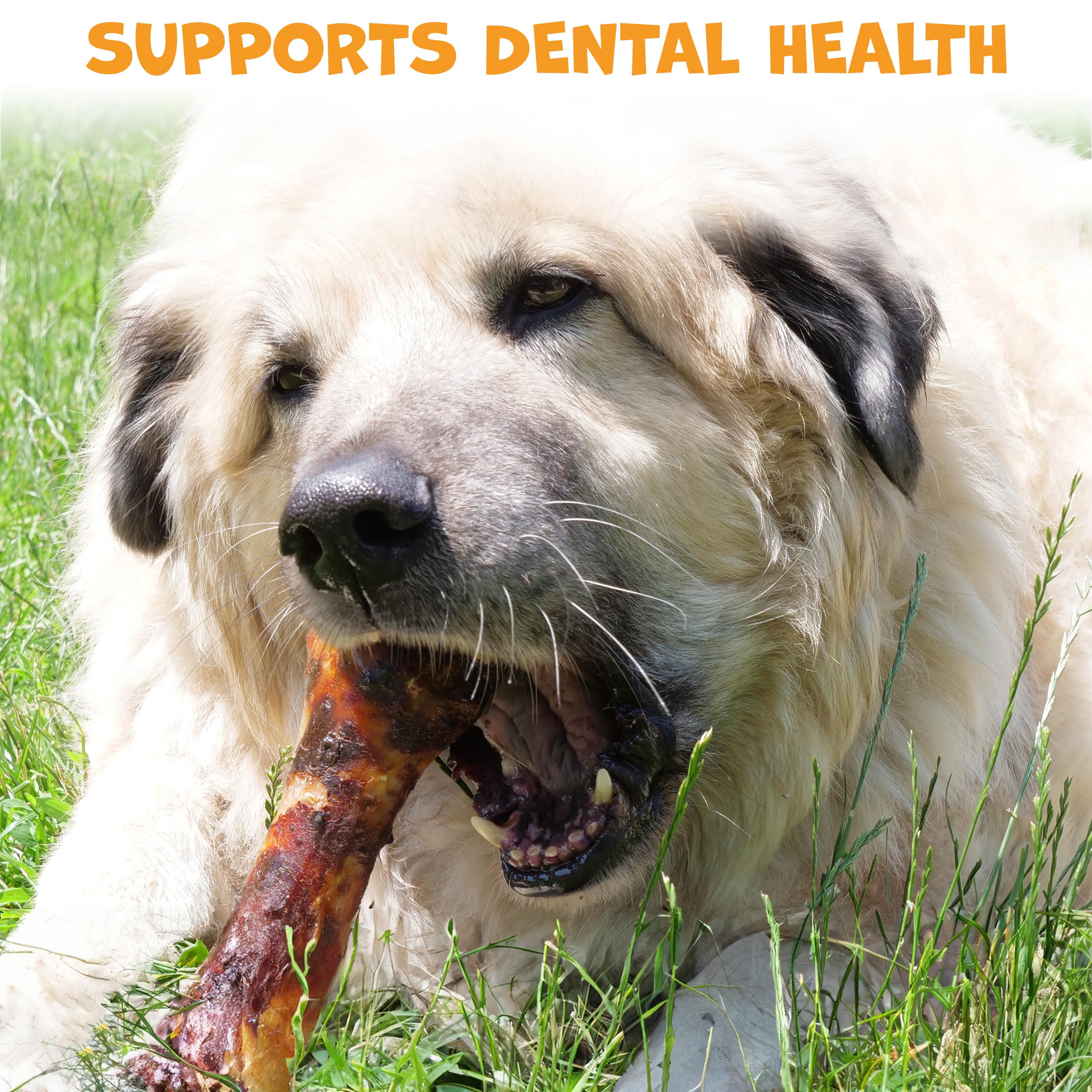 Pack Approved USA-made dog bone—responsibly sourced and crafted in the USA.