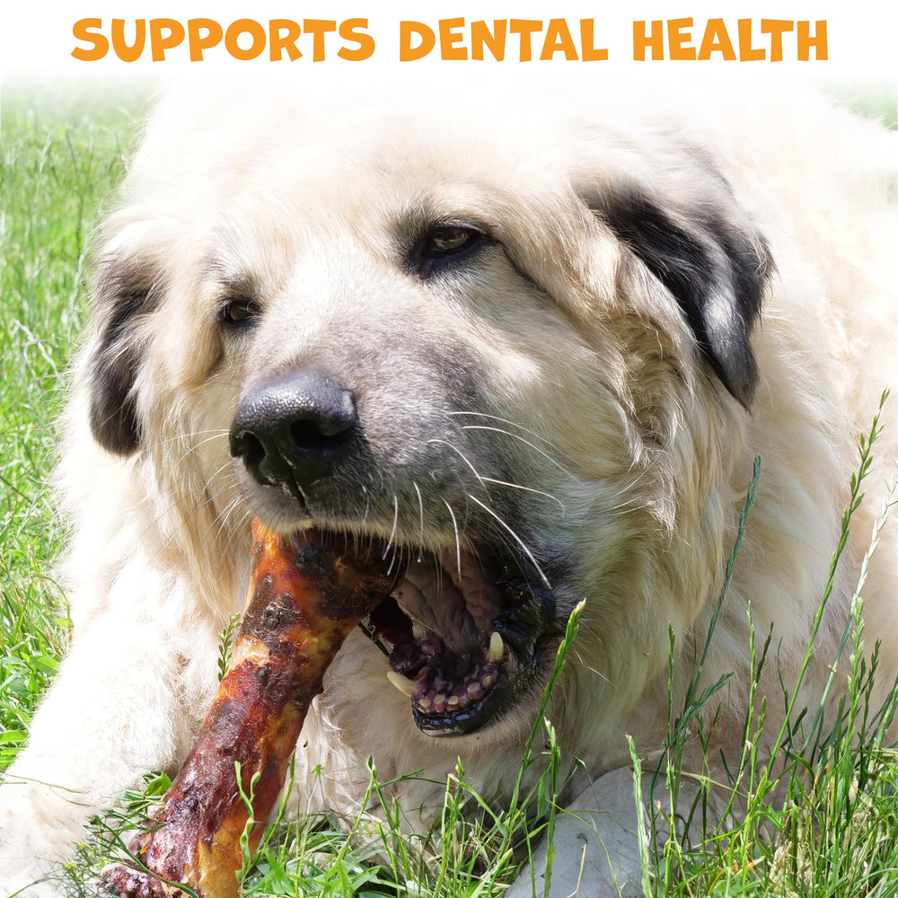 Pack Approved USA-made dog bone—responsibly sourced and crafted in the USA.