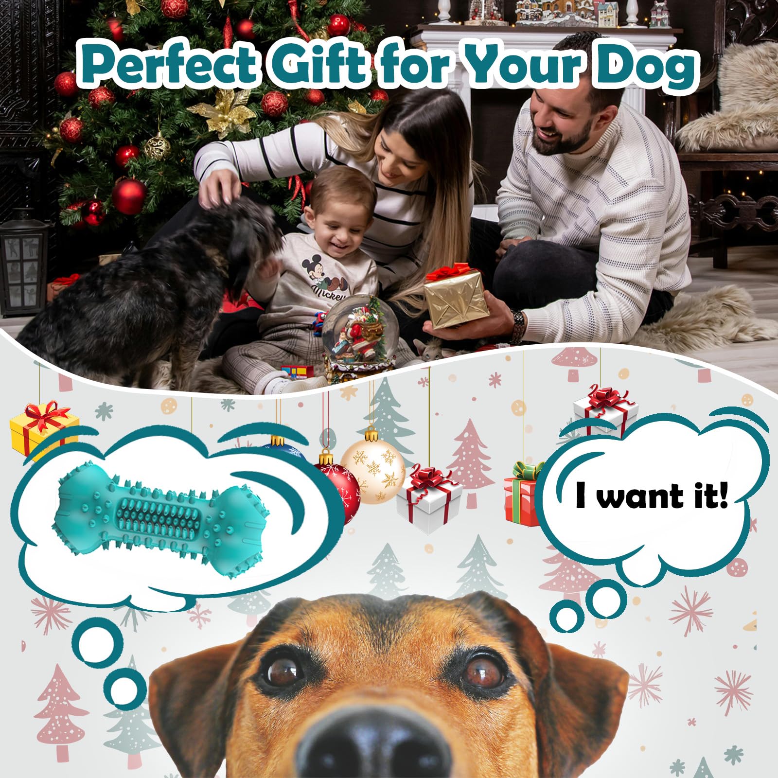 Padythyric medium and large dogs fit for indoor outdoor play