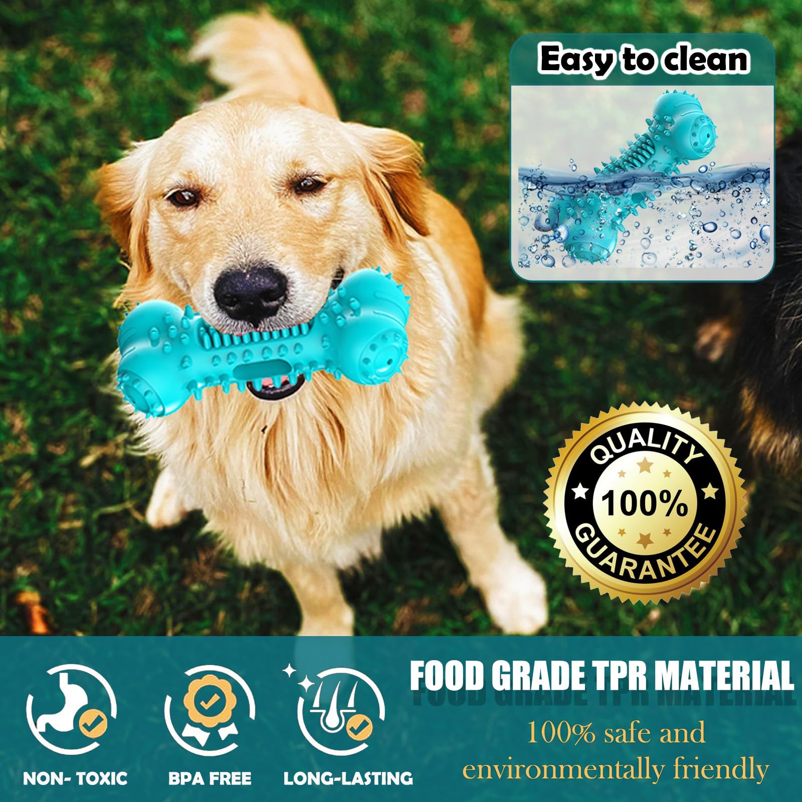 Padythyric multi-functional dental toy combines care, stimulation, and treats