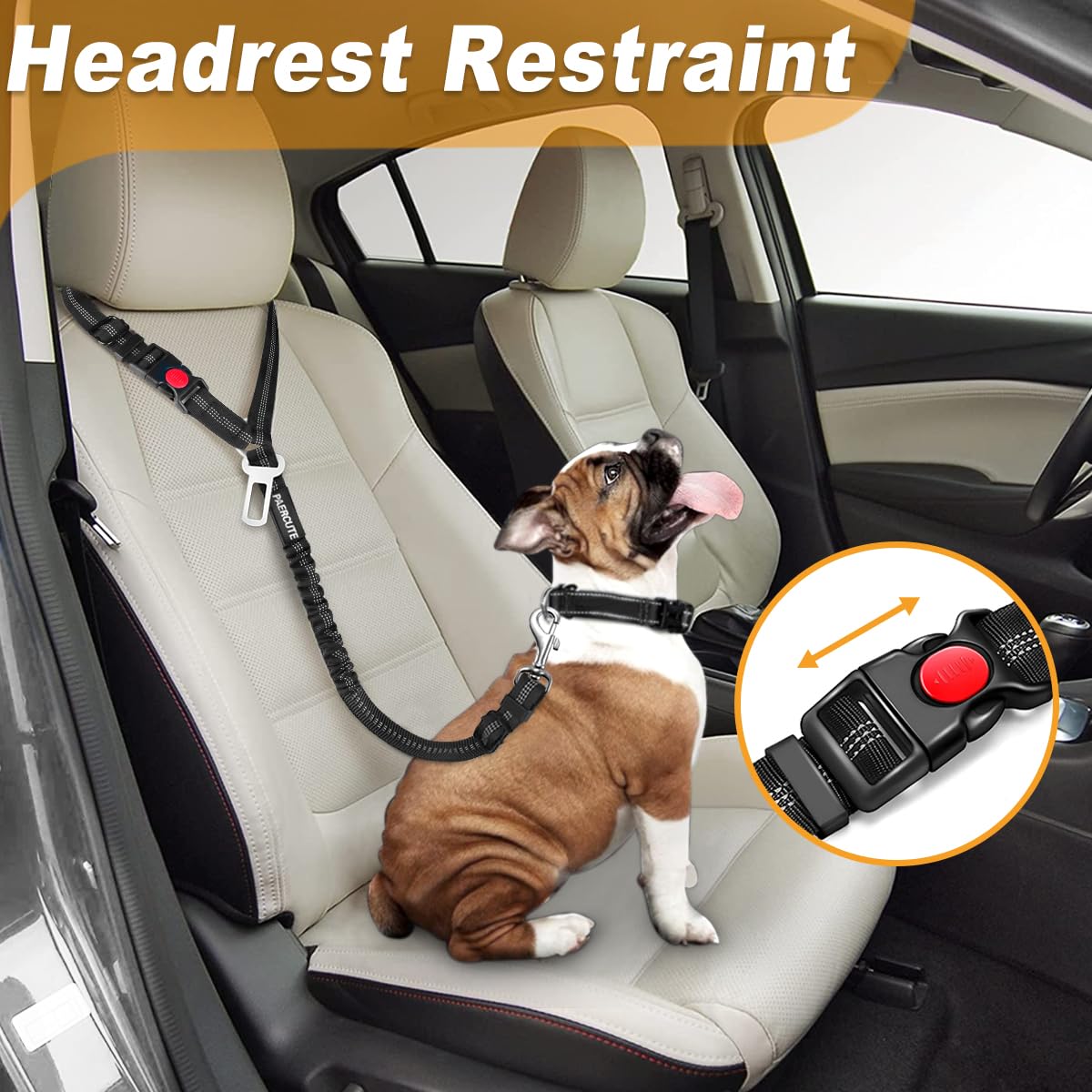 Paercute dog seatbelt buckle attachment shown for quick securement during car rides.