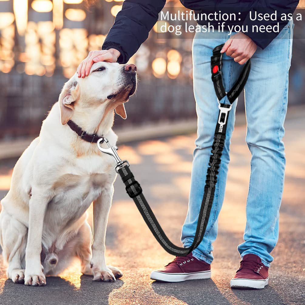 Paercute durable rip-stop nylon leash stands up to daily car use.
