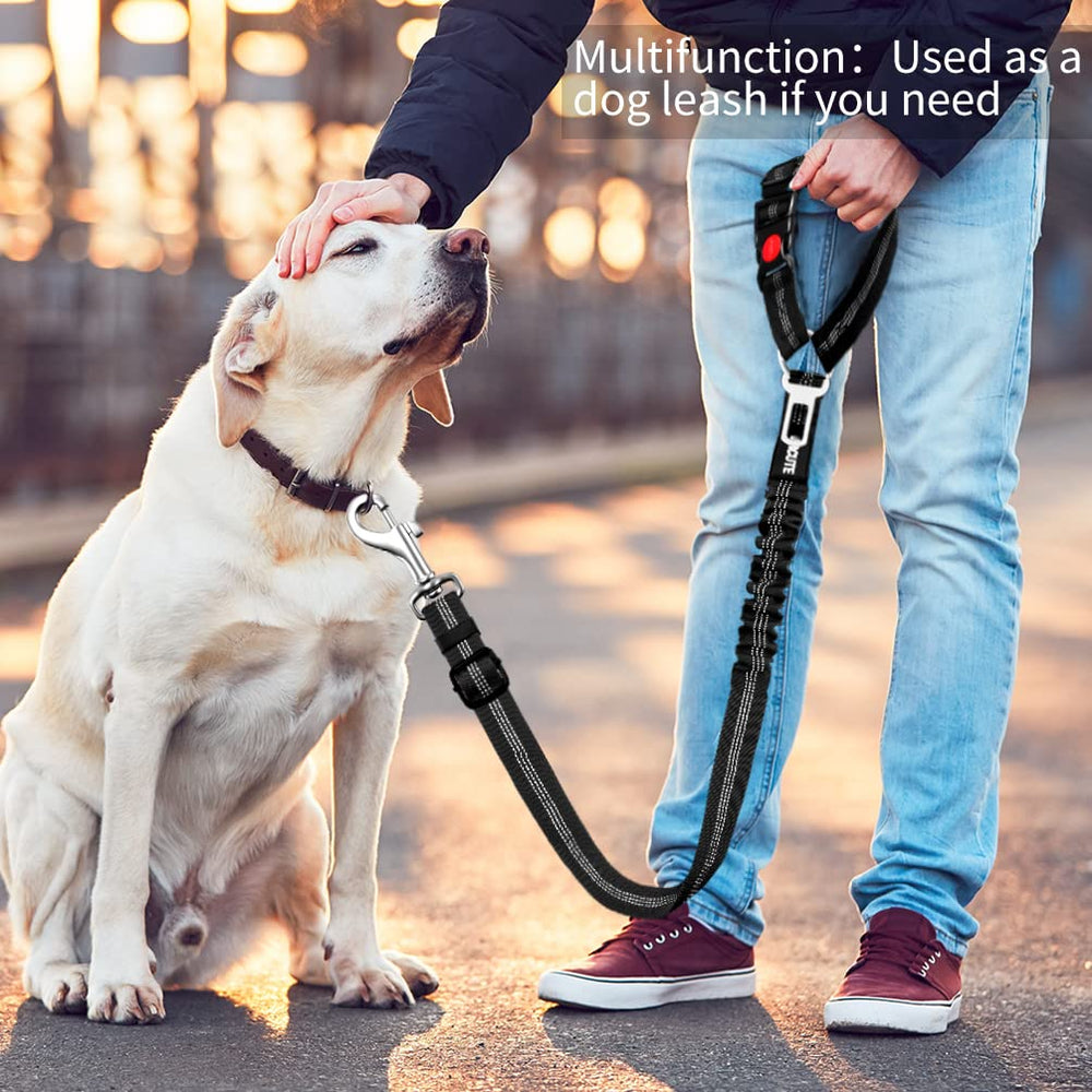 Paercute durable rip-stop nylon leash stands up to daily car use.